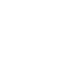 Inspire Coaching - White Logo